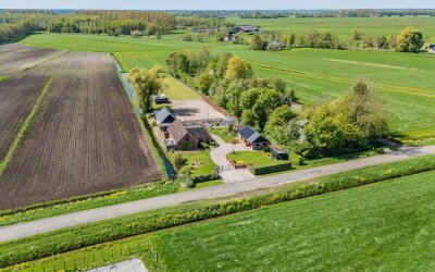 Hanebuert 4