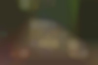 Boterpol 22