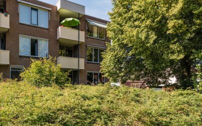 Bielzen 11