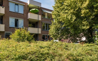 Bielzen 11
