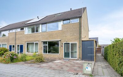 Blauwgras 29