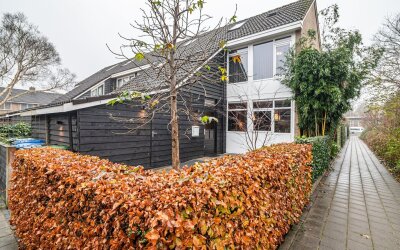 Wulpstraat 15