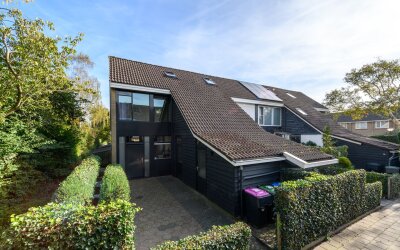 Wulpstraat 39