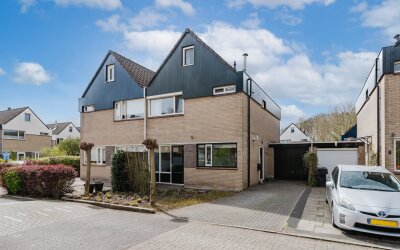 Eendenkooi 3