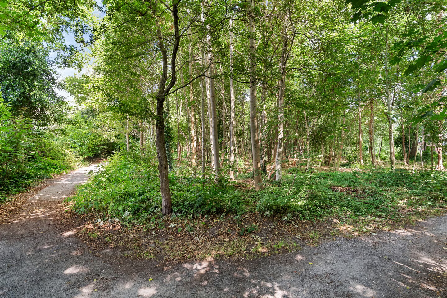 Hoekwoning te koop: Eendenkooi 16, Heerenveen