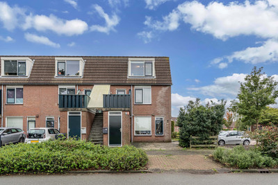 Roede 45
