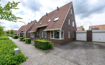 Kleine vos 6