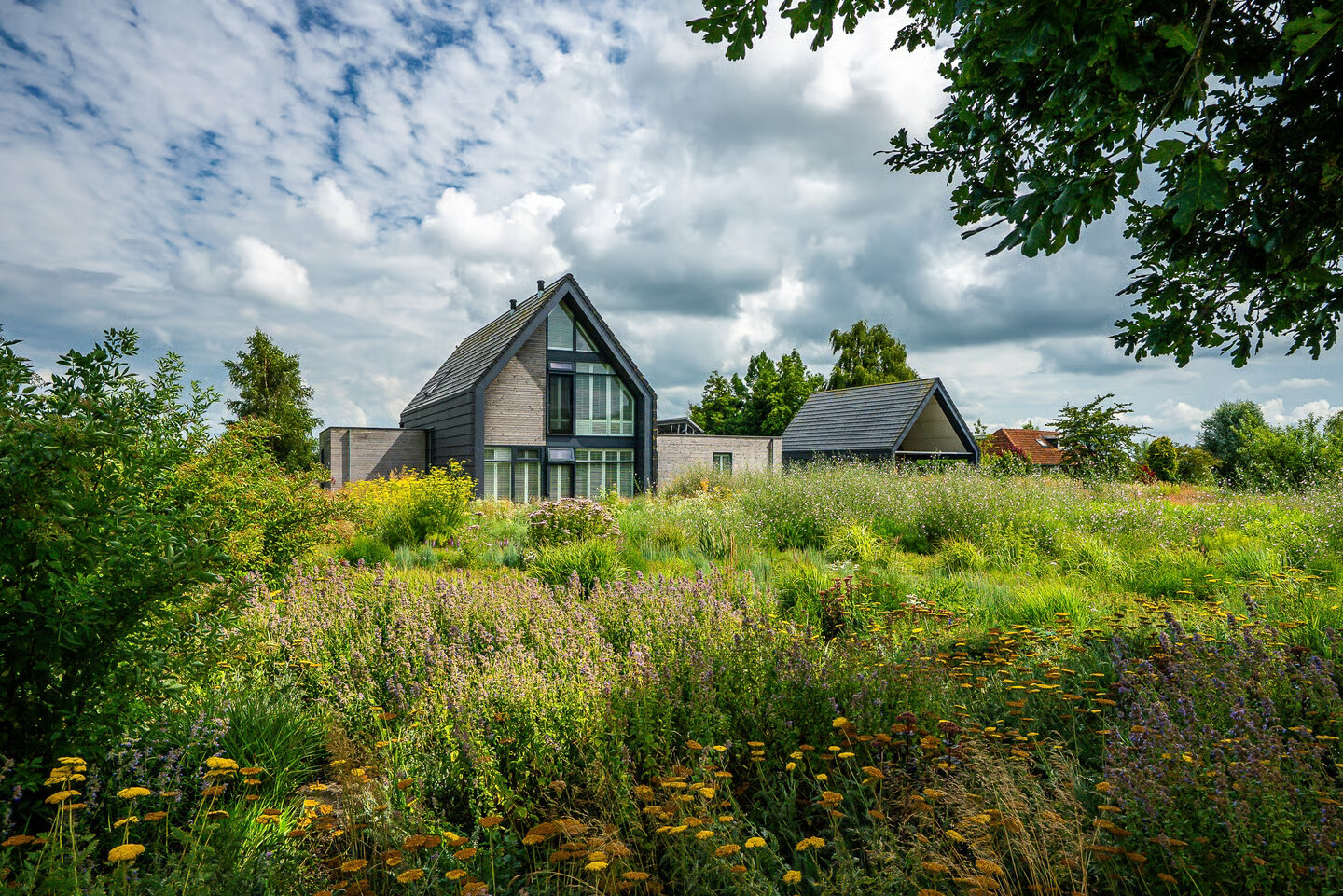 Vrijstaande woning te koop: Langelilleweg 87, Langelille