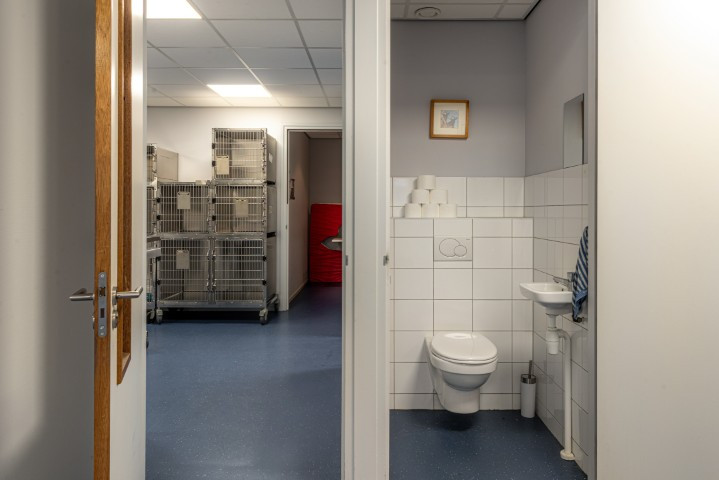 Vrijstaande woning te koop: Oer de Feart 161, Joure