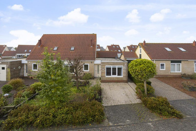 Scholekster 6