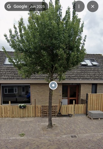 Duimstraat 44