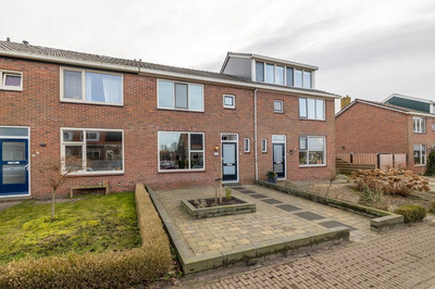 Lege Leane 20