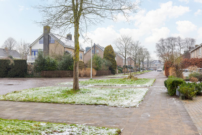 Meeuwenlaan 77