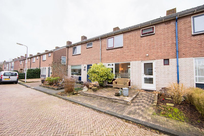 Groen van P. 8