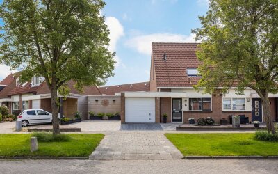 Zilverschoon 17