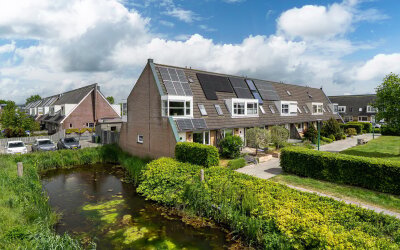 Zandoogje 1