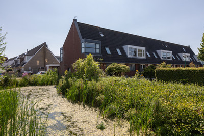 Zandoogje 16