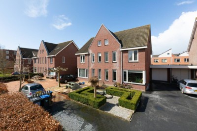 Kleine vos 8