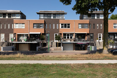 Parelmoervlinder 3