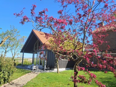 Harlingerweg 42