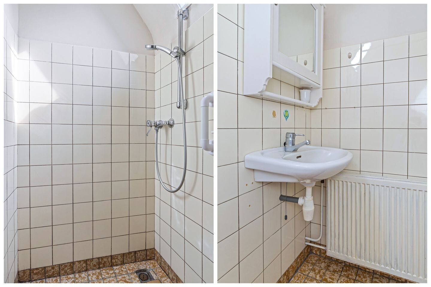 Vrijstaande woning te koop: Buorfinneleane 8, Sexbierum