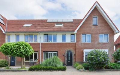 Boontjes 43