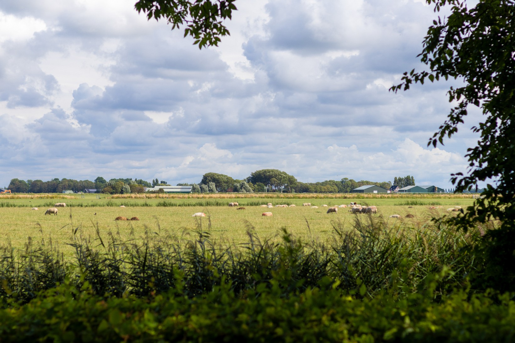 Twee-onder-één-kap te koop: Galeihof 5, Harlingen