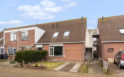 De Leeuw 61