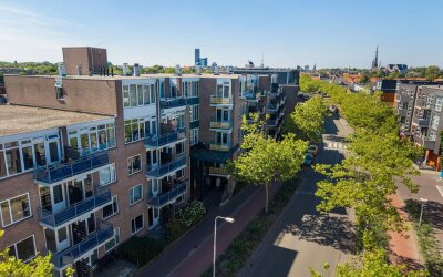 Zuidvliet 428