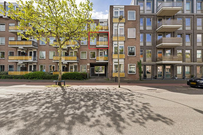 Zuidvliet 474
