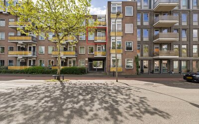 Zuidvliet 474