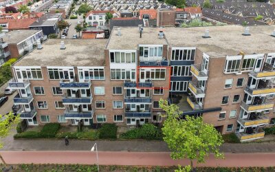 Zuidvliet 530