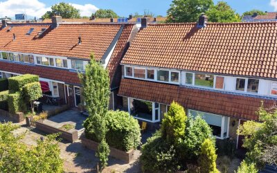 Meidoornstraat 10