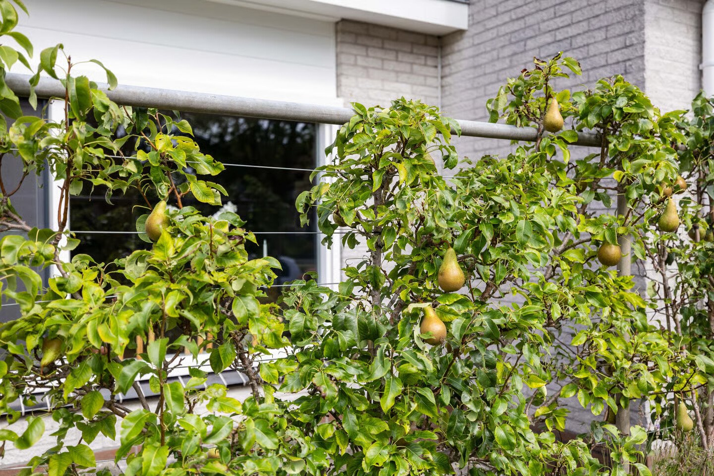 Tussenwoning te koop: van Andlastate 33, Leeuwarden