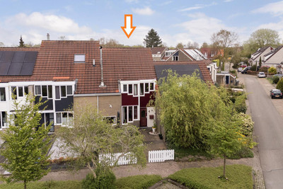 Wibrandasta. 17