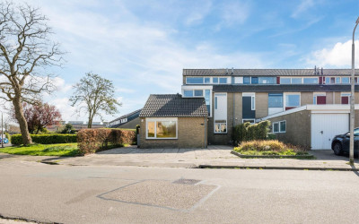 Zenegroen 43