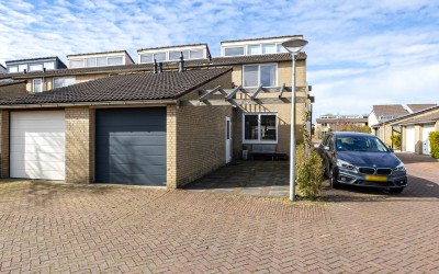 Zenegroen 2