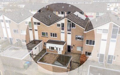 Zenegroen 114