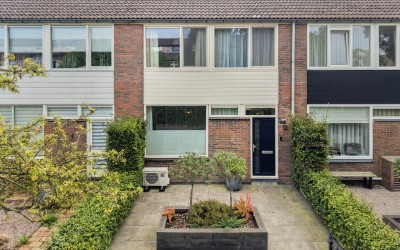 Zenegroen 310