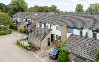 Hoornbloem 25