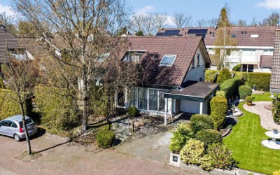 Sleutelbloem 19