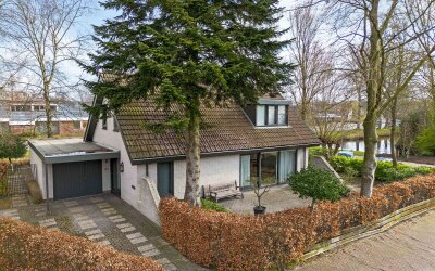 Sleutelbloem 2