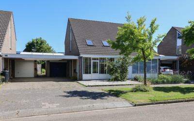 Kinkhoarn 52