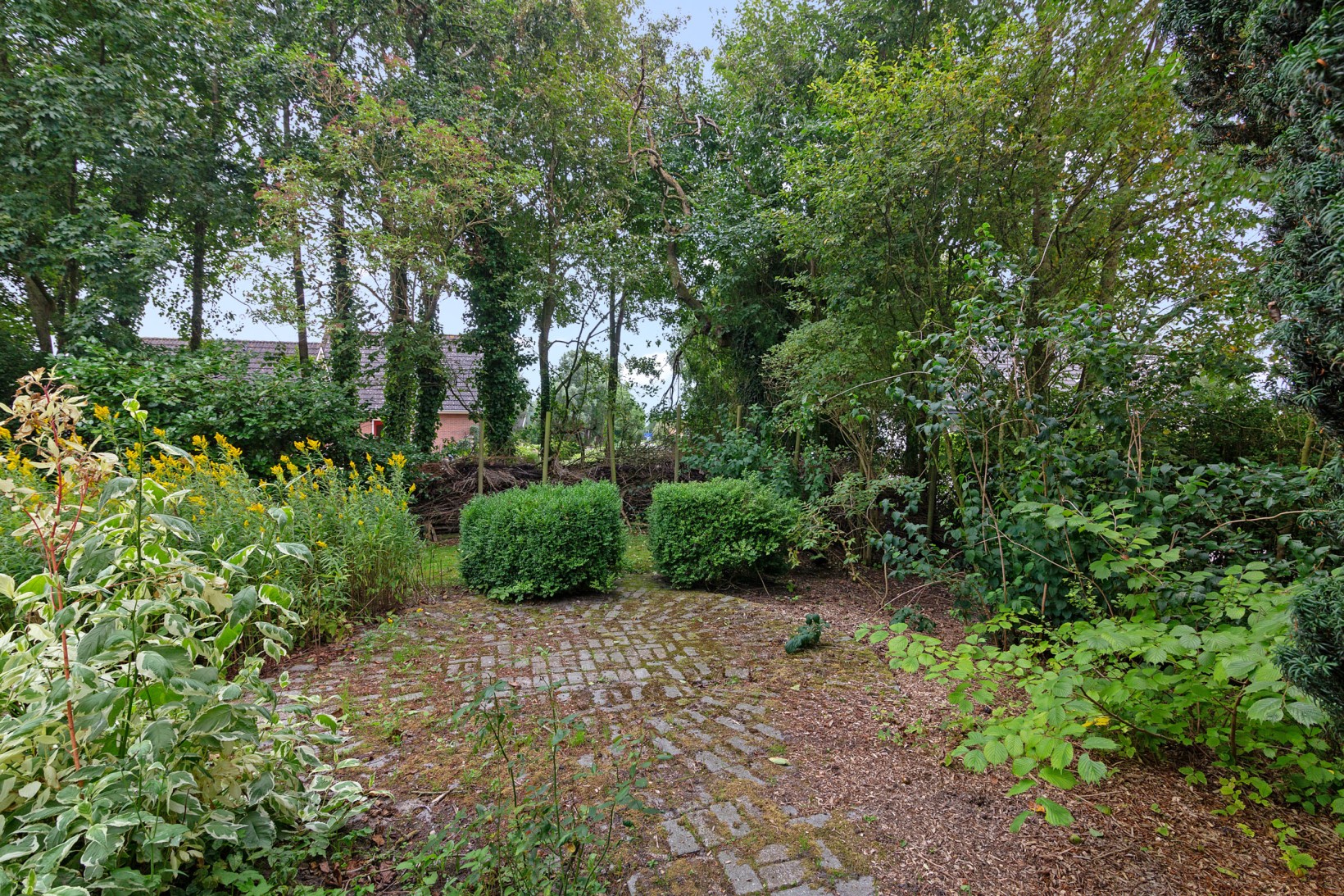 Vrijstaande woning te koop: Miedweg 1, Marrum