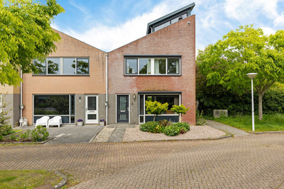 De Swaan 2