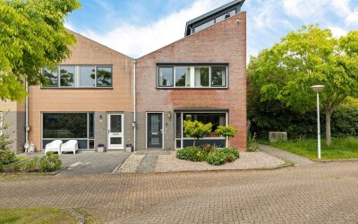 De Swaan 2