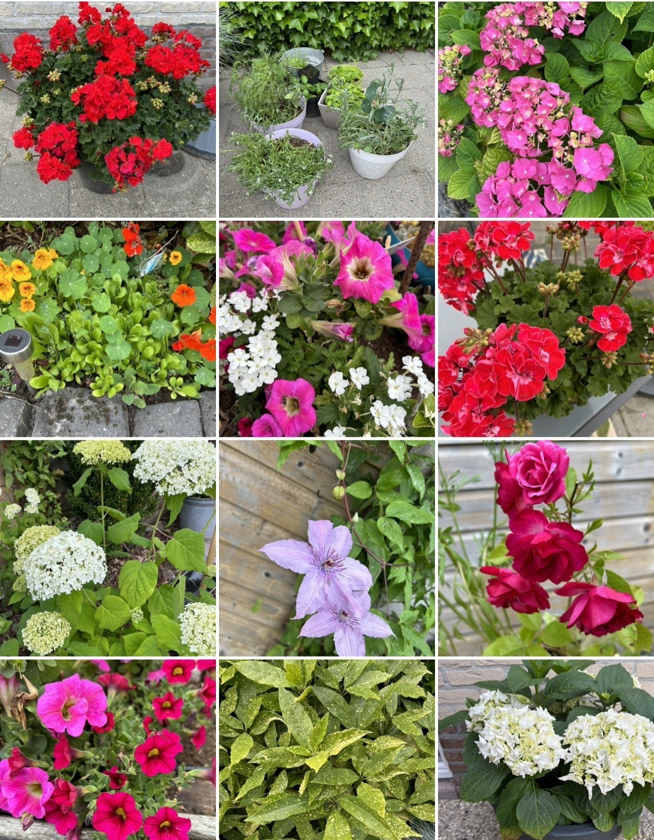 Twee-onder-één-kap te koop: Gerben van Tuinenstraat 30A, St.-Jacobiparochie