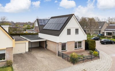 IJsvogel 81