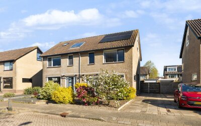 Roggeblom 10