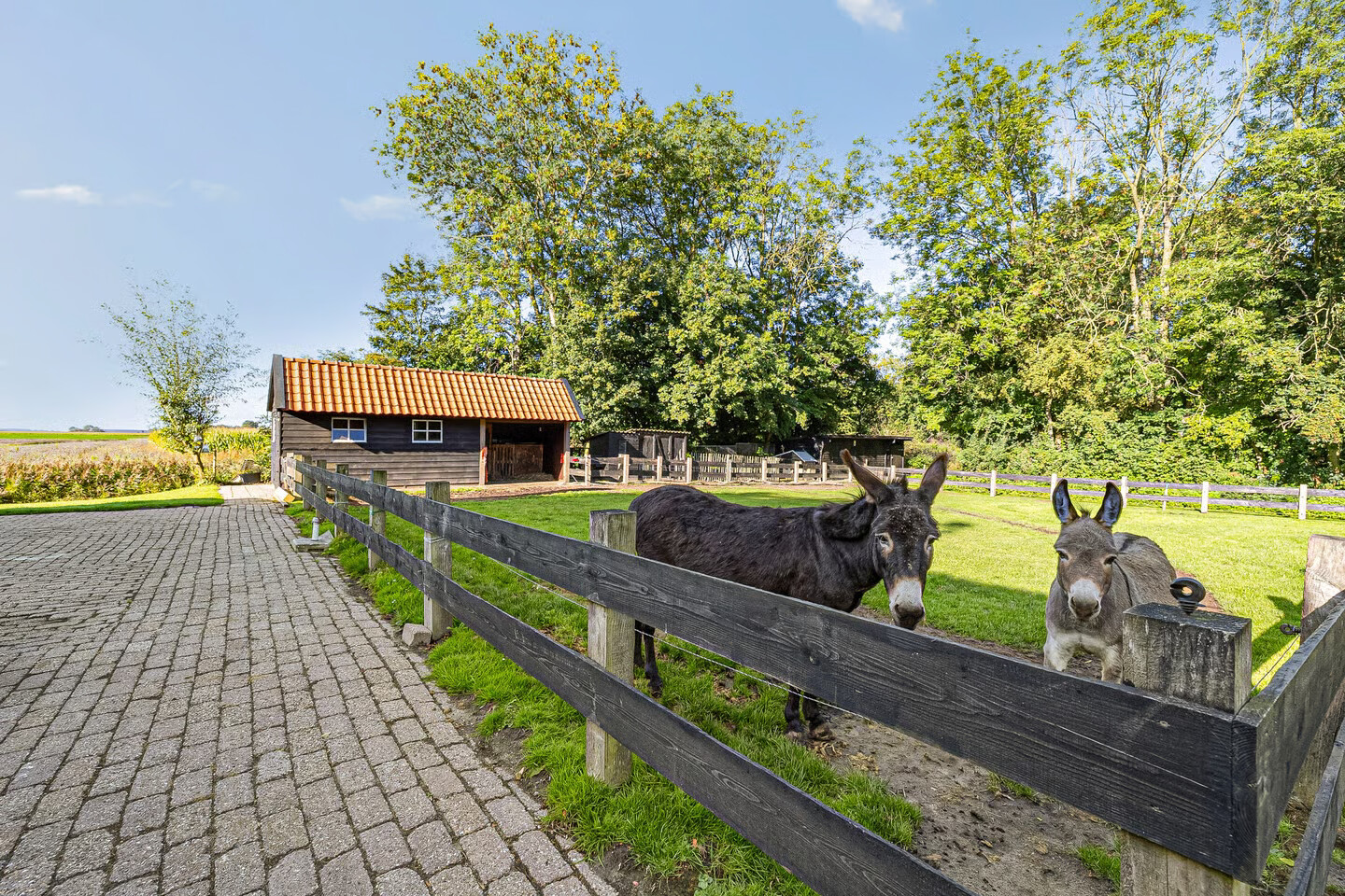 Vrijstaande woning te koop: Tsjessenswei 5, Waaxens
